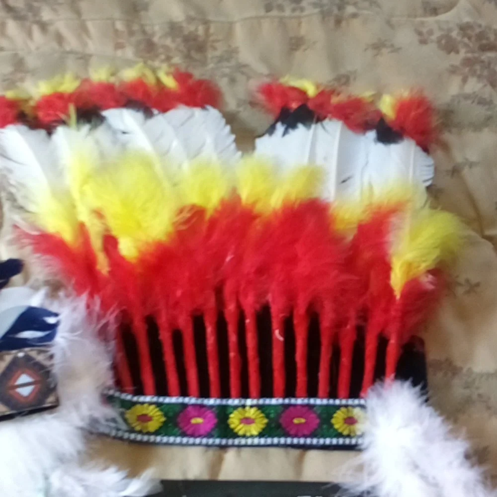 American Indian Costume -  Extra, &  Cool Headresses Short Fringed Black Dress - Picture 9 of 11